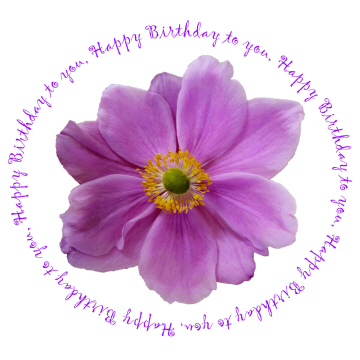 Personalised Birthday Cards on New Birthday Flower Greeting Cards    Anenome Happy Birthday Card